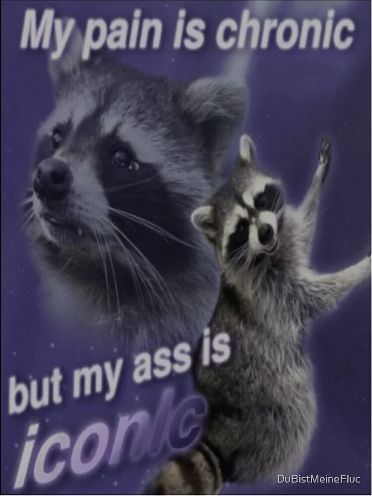 My Pain Is Chronic But My Ass Is Iconic Funny Raccoon Quote Sticker