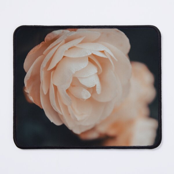 Item preview, November rose designed and sold by lillypix.
