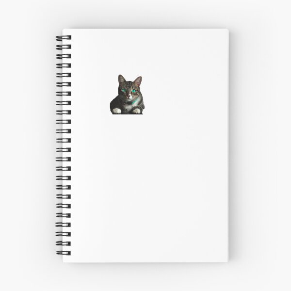 Item preview, Magical cat colorful sticker gift for cat lovers gift for cat owners  designed and sold by GhostAmine.