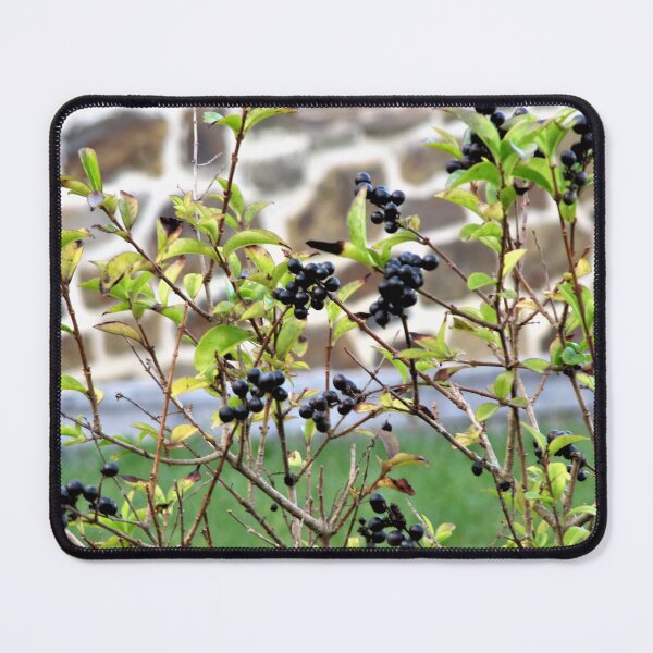 Item preview, Autumn berry designed and sold by ART22.