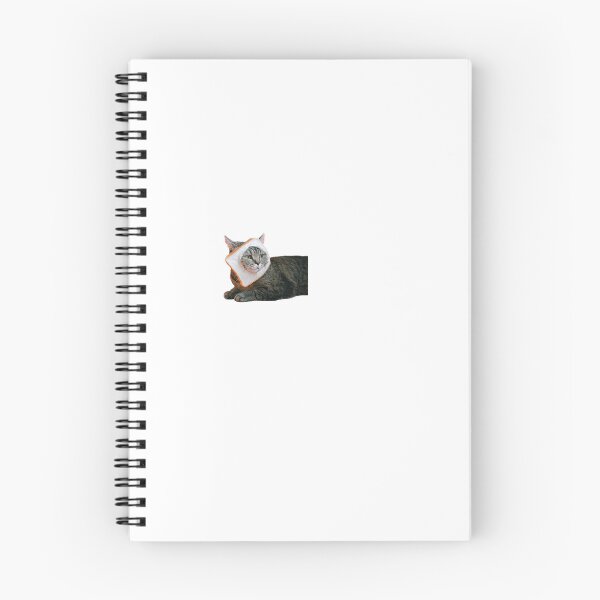 Item preview, Funny breadface cat sticker gift for cat lovers gift for cat owners  designed and sold by GhostAmine.