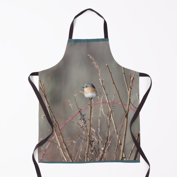 Item preview, Cutest Bluebird Ever designed and sold by LisaNaturePhoto.