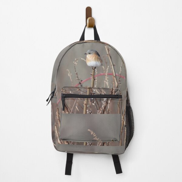 Item preview, Cutest Bluebird Ever designed and sold by LisaNaturePhoto.
