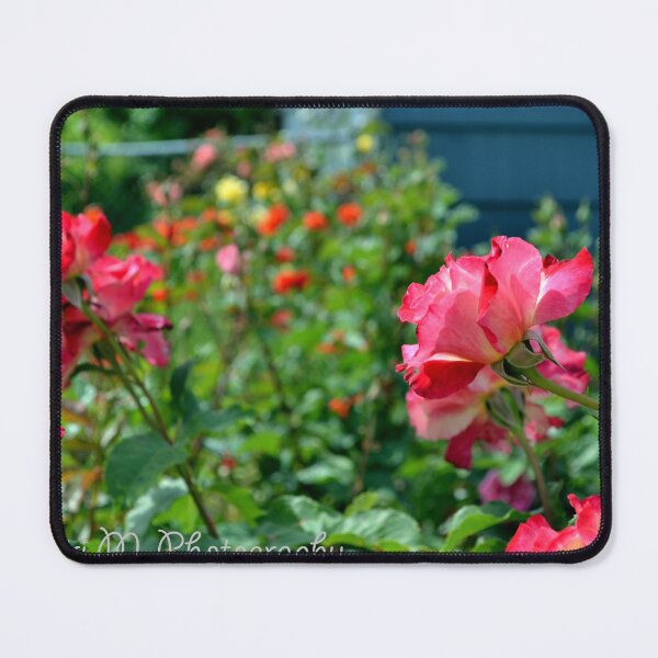 Item preview, Rose Garden designed and sold by MoreGoodArt.