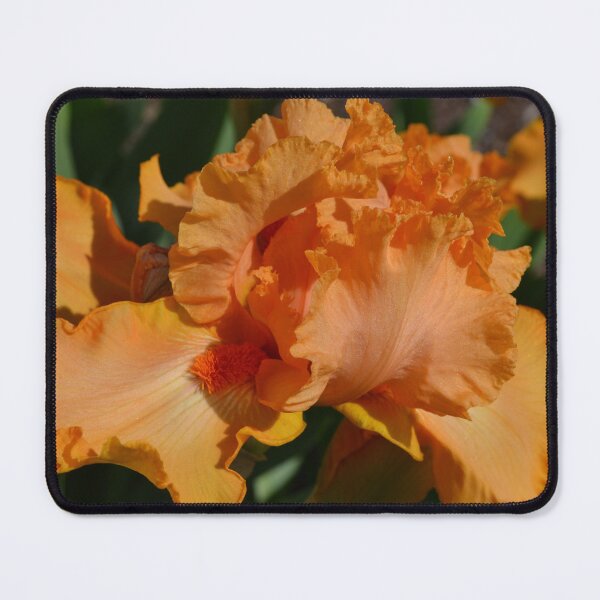 Item preview, Big Orange Iris designed and sold by MoreGoodArt.