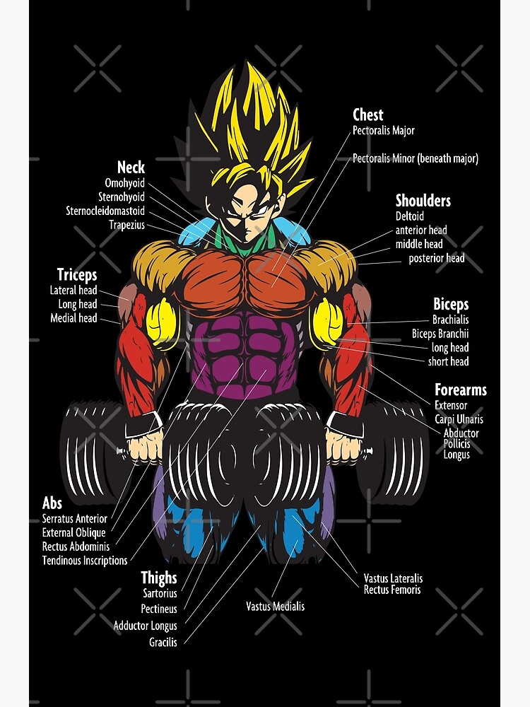 The Role of Minor Characters (Dissection)