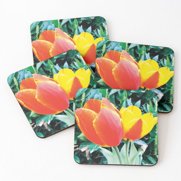 Item preview, Tulip Flower Photography  designed and sold by hanyj732.