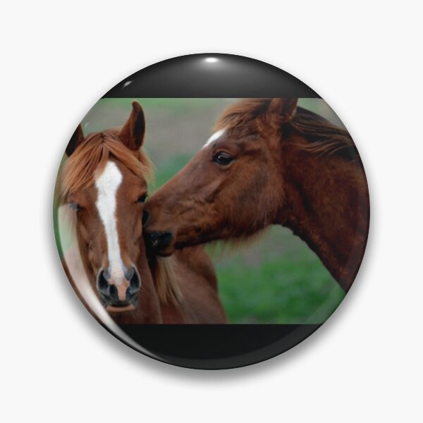 Item preview, dos ponies marrones designed and sold by MoreGoodArt.