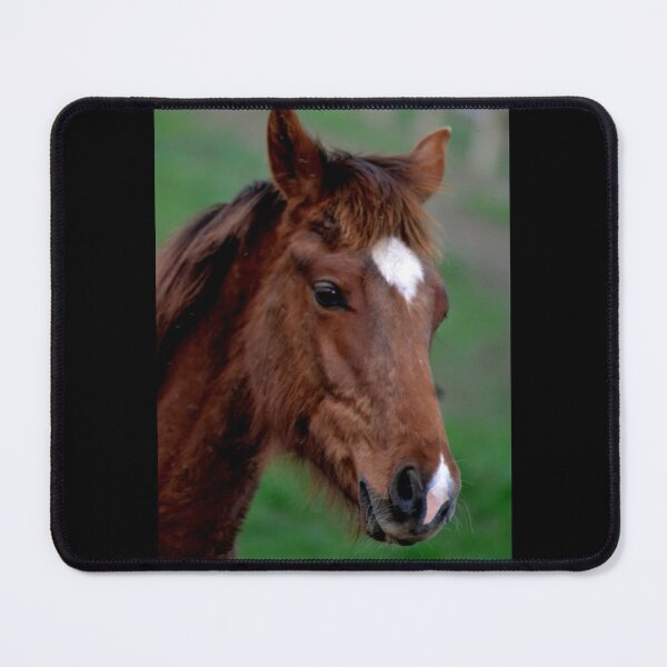 Item preview, pony designed and sold by MoreGoodArt.