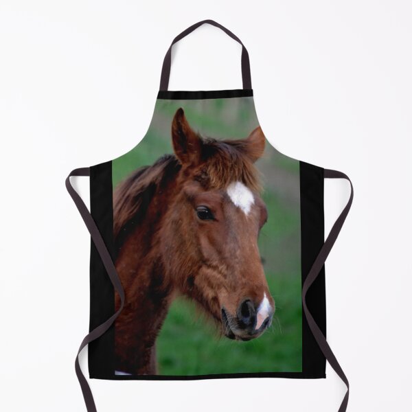 Artikelvorschau, Pony entworfen und verkauft von MoreGoodArt.