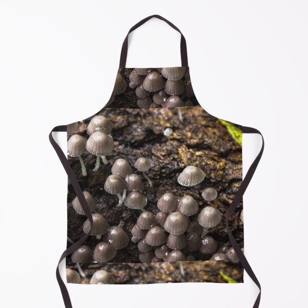 Item preview, hongos en el tronco. designed and sold by Nino rocha fotografia.