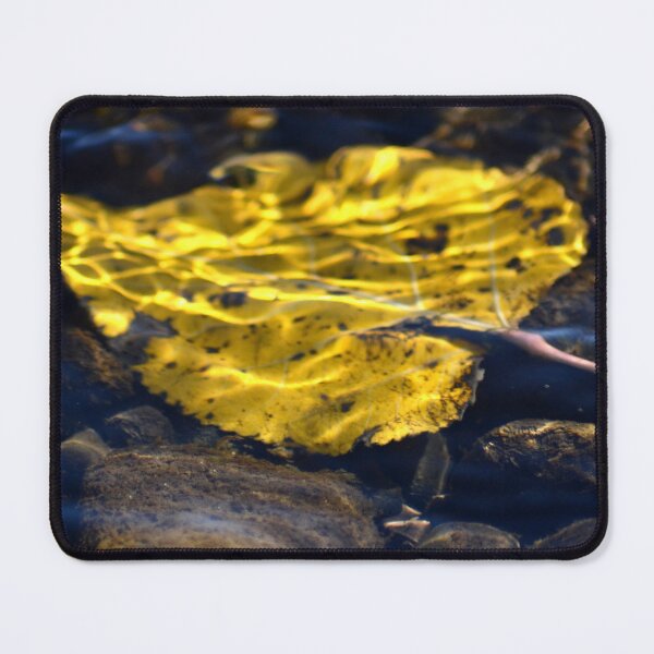 Item preview, leaf underwater designed and sold by MoreGoodArt.