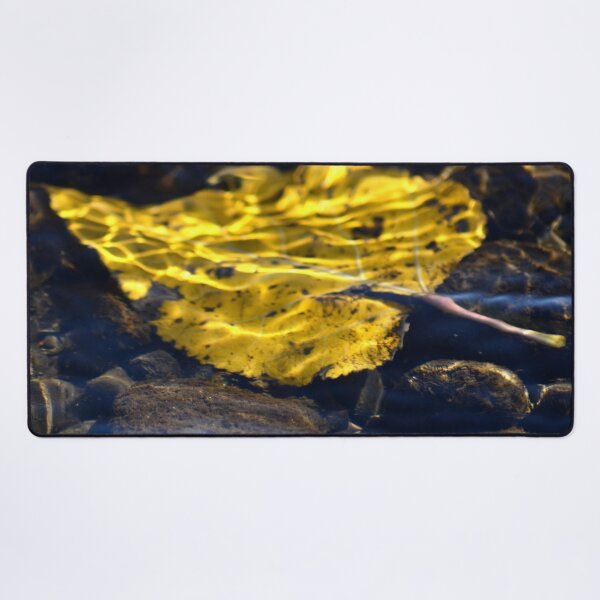 Item preview, leaf underwater designed and sold by MoreGoodArt.