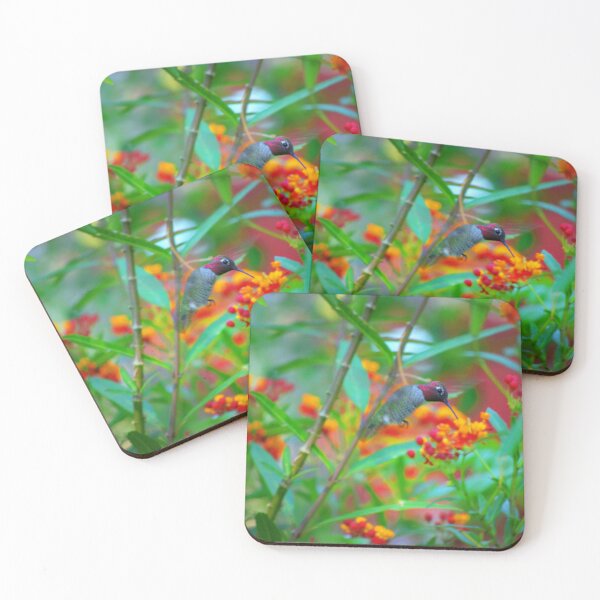Item preview, Male Anna's Hummingbird and Milkweed designed and sold by K D Graves Photography.