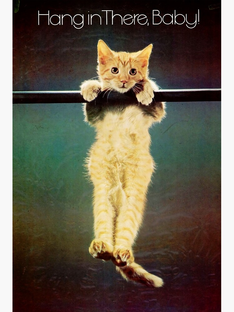 Hang in there baby premium matte vertical poster sold by pavel