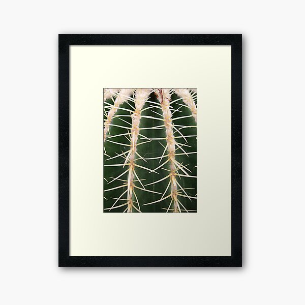 Close-Up cactus Framed Art Print