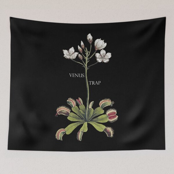 Item preview, Venus Trap Deadly Botanical Flower Classic . designed and sold by nellumkzfoug.