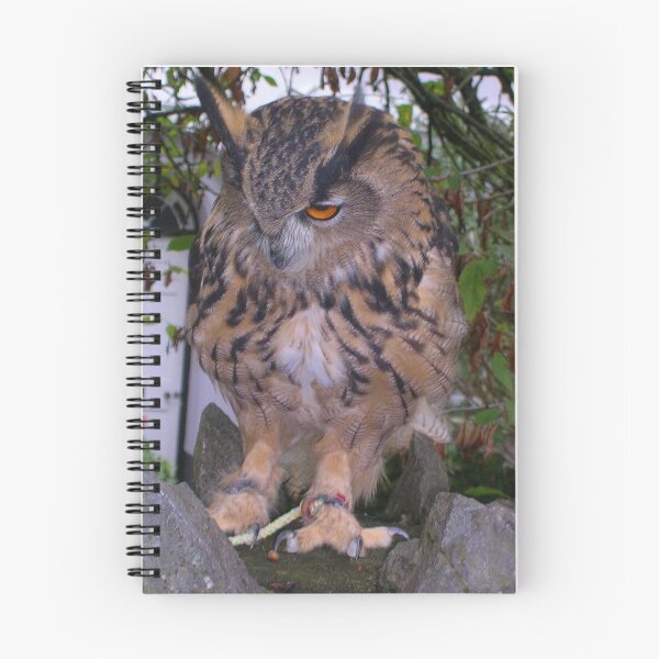 Item preview, Long Eared Owl designed and sold by lezvee.