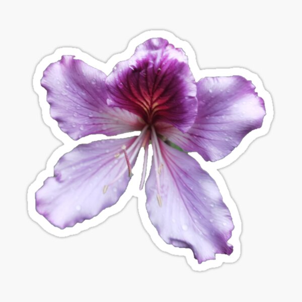 Flor Morada Stickers for Sale | Redbubble