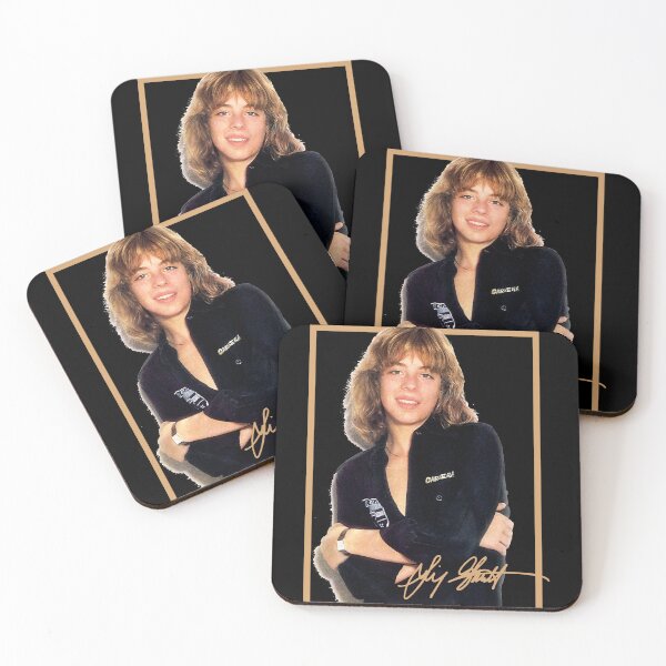 Item preview, Leif Garrett designed and sold by WillRobinson4.