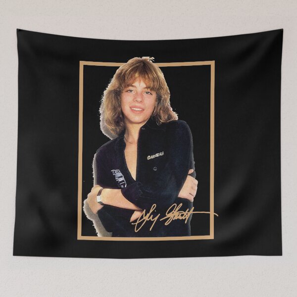Item preview, Leif Garrett designed and sold by WillRobinson4.