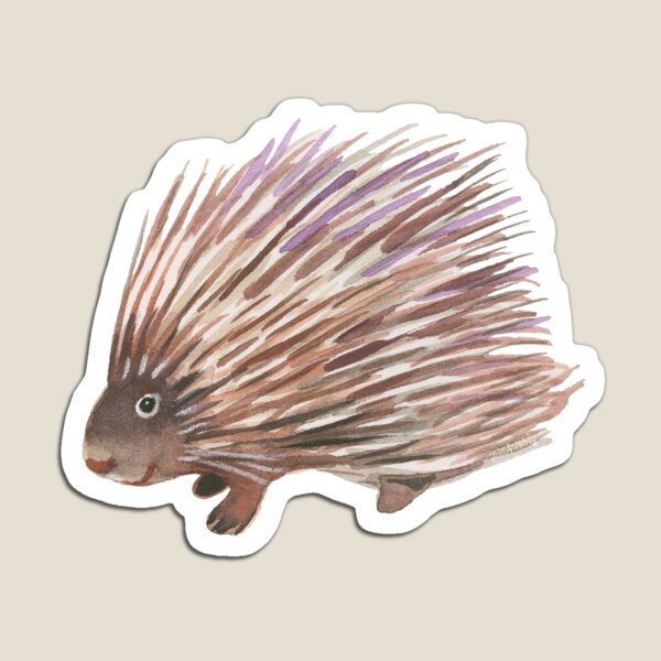 Flossie Magnet