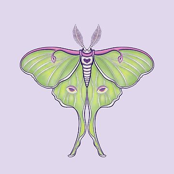Artwork thumbnail, Luna Moth by Flickingjane