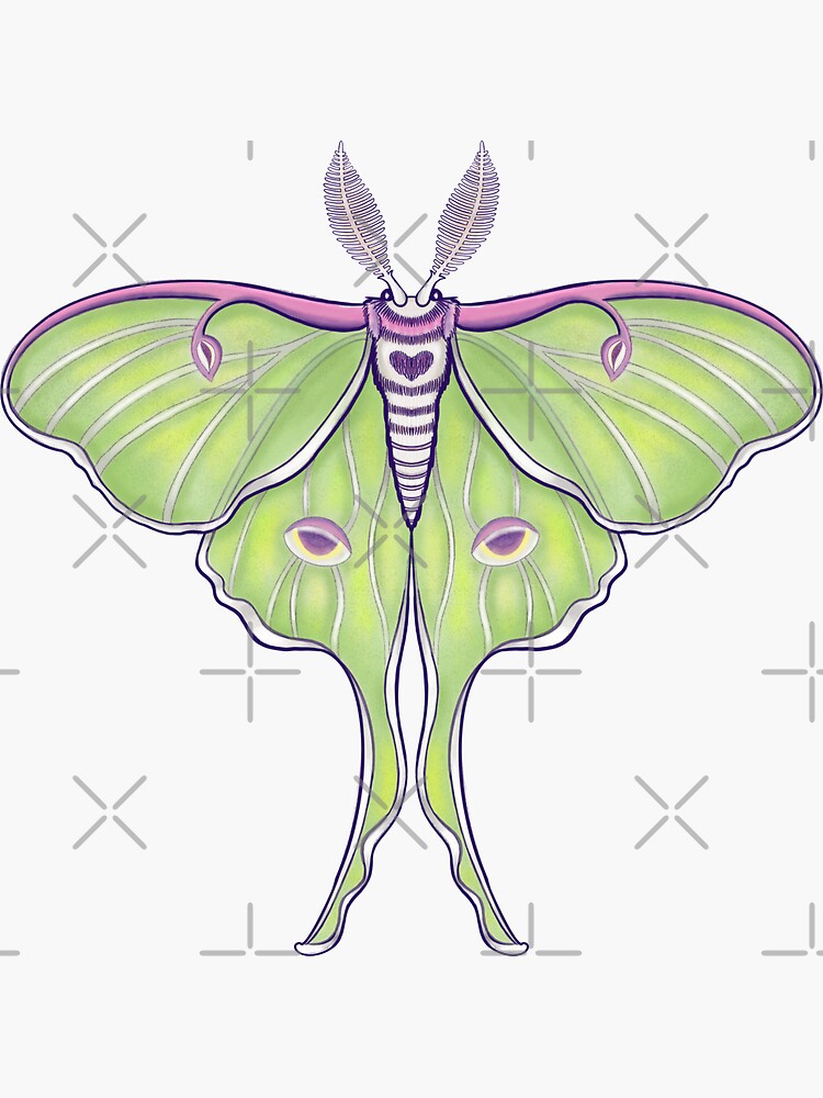 Thumbnail 3 of 3, Sticker, Luna Moth designed and sold by Flickingjane.