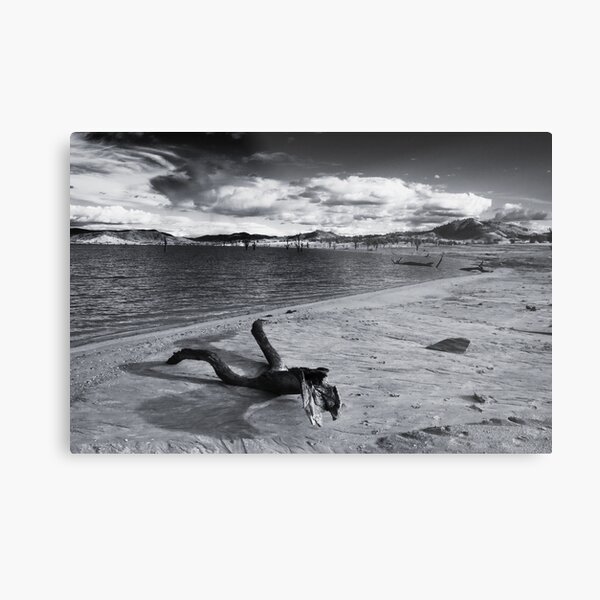 Drift Metal Print