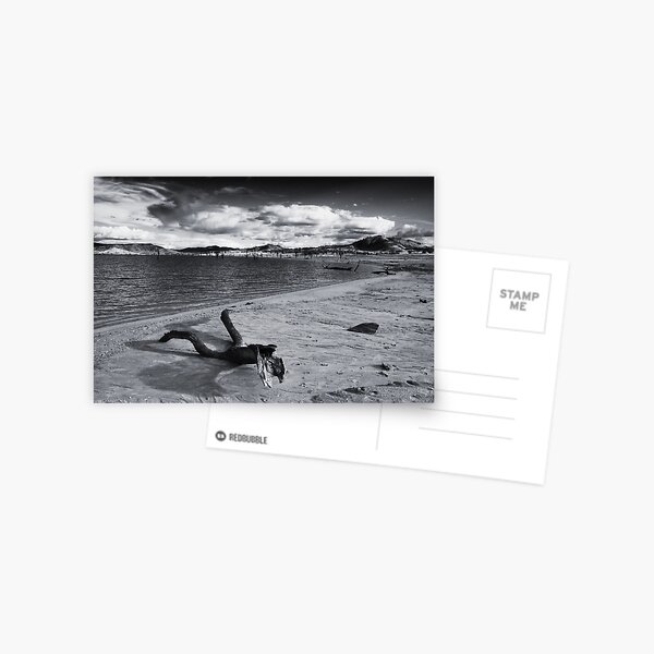 Drift Postcard