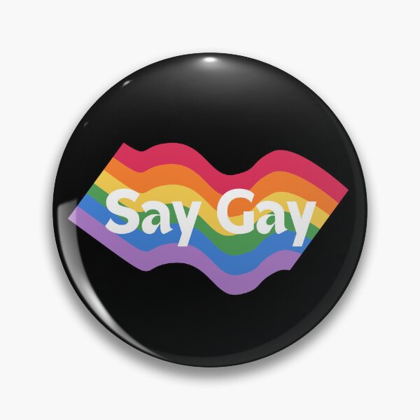 Item preview, Say Gay, #SayGay, F DeSantis, You Are Valid, Protect Gay Kids designed and sold by 732Studio.