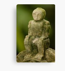 Lucky Dick Canvas Print