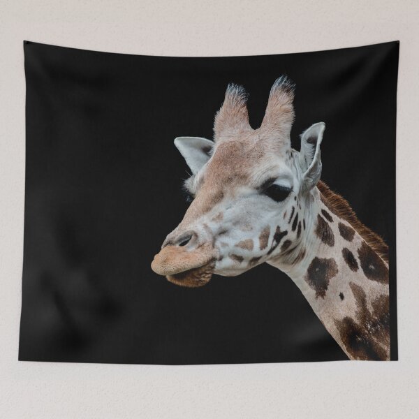 Artikelvorschau, Giraffe - Porträt entworfen und verkauft von Allenart_UK.