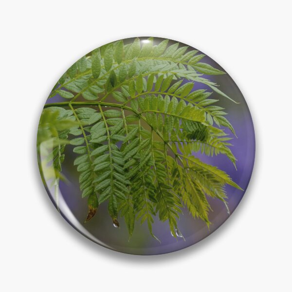 Item preview, Jacaranda after the rain designed and sold by Mrtweety.