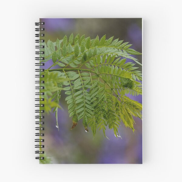 Item preview, Jacaranda after the rain designed and sold by Mrtweety.
