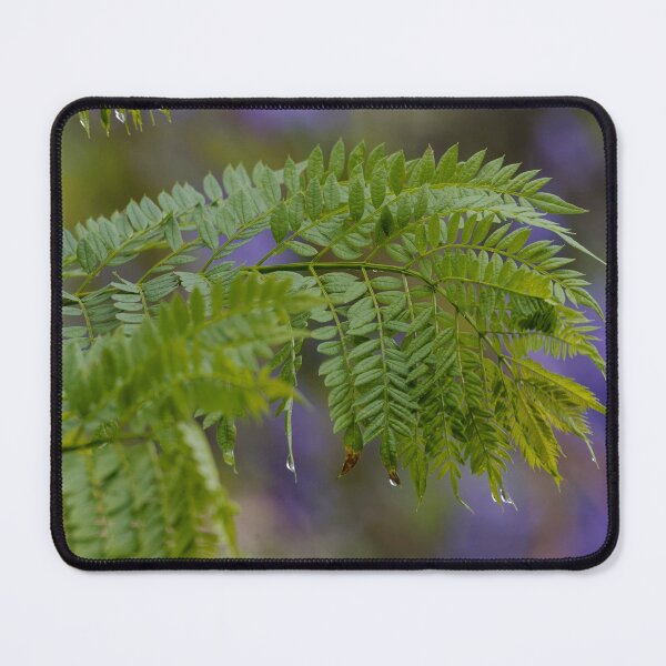 Item preview, Jacaranda after the rain designed and sold by Mrtweety.
