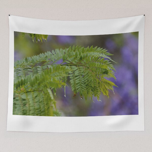 Item preview, Jacaranda after the rain designed and sold by Mrtweety.