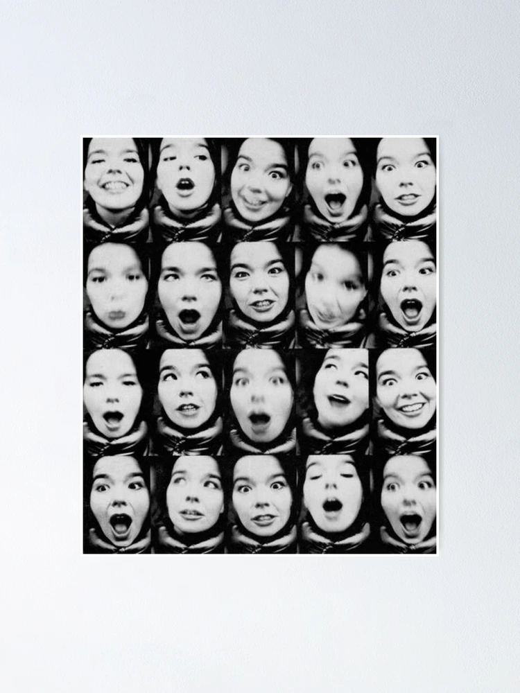 Bjork Poster Black and White Poster 27inx40in — The Poster Depot