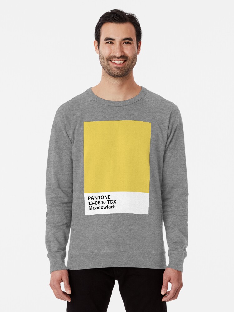Pantone sweatshirt outlet