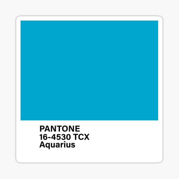 Pantone Royal Blue - HOMMCPS