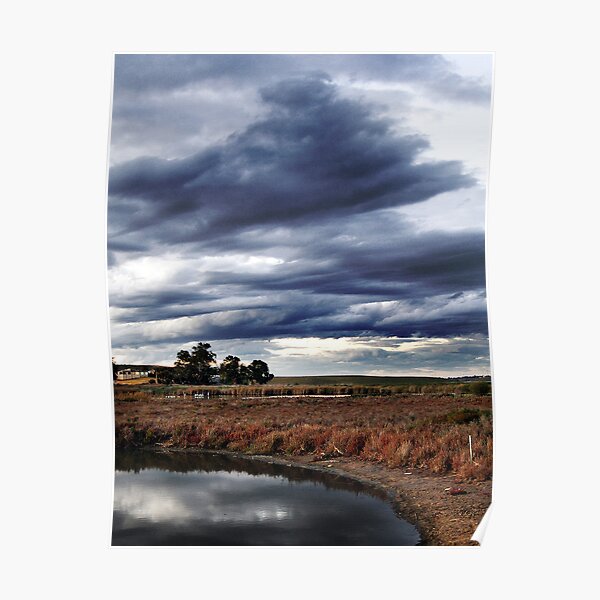 Dramatic Wetlands Poster