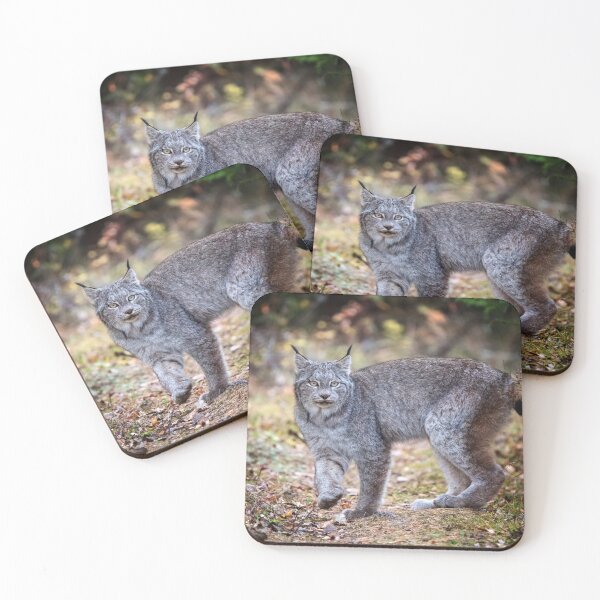 Item preview, Wild lynx in nature designed and sold by Midnight-Hour.