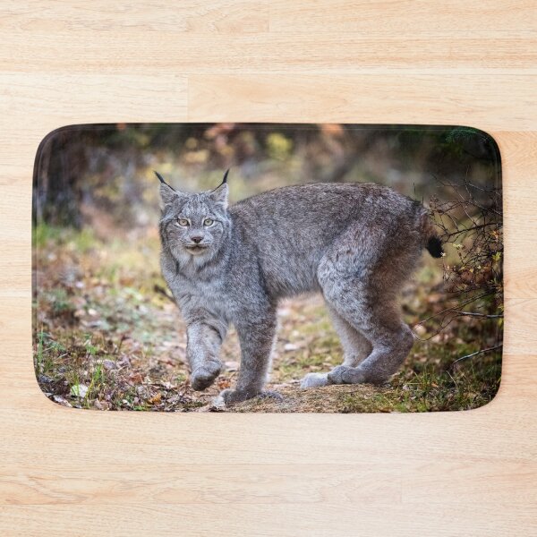Item preview, Wild lynx in nature designed and sold by Midnight-Hour.
