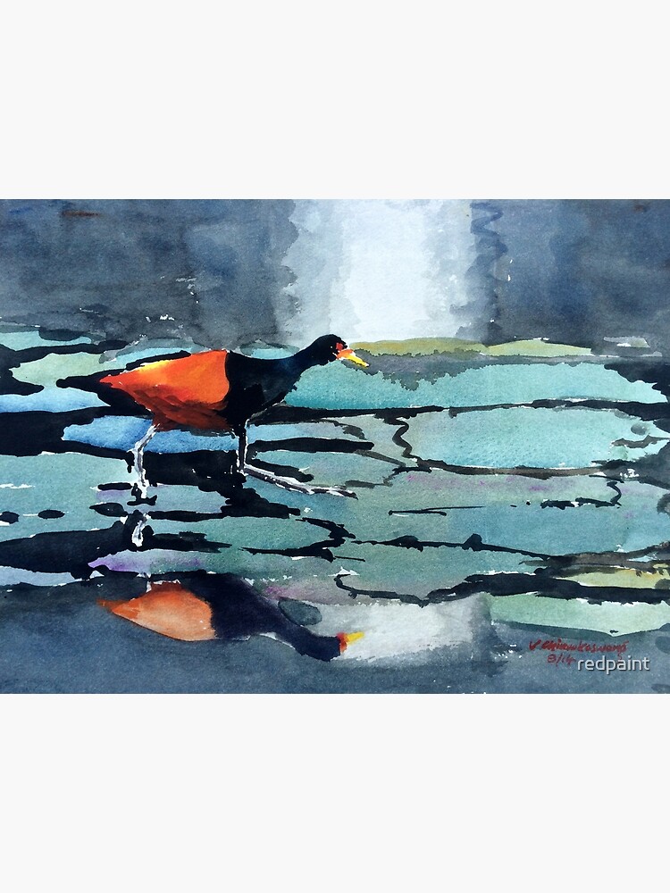 Bird Reflection by redpaint