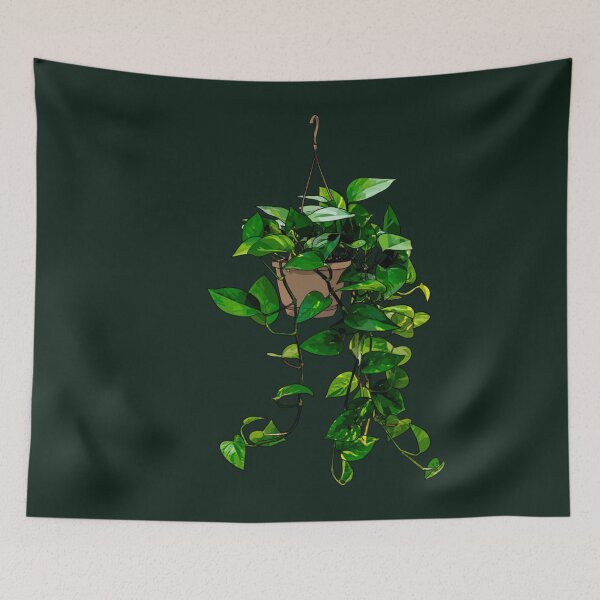 Item preview, Hanging Pothos Plant  designed and sold by KorraKreations.