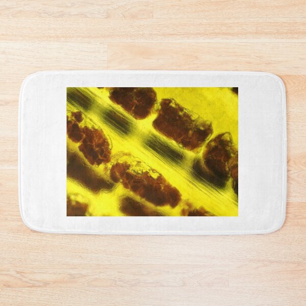 Item preview, Banana peel under the microscope designed and sold by SDym Photography.
