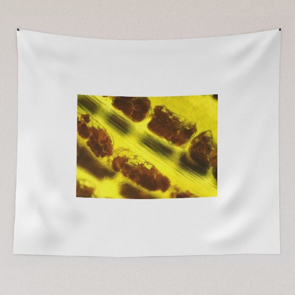 Item preview, Banana peel under the microscope designed and sold by SDym Photography.