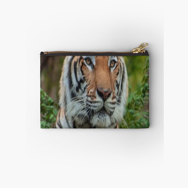 Item preview, Tiger in nature designed and sold by Credere.