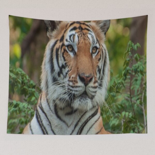 Item preview, Tiger in nature designed and sold by Credere.