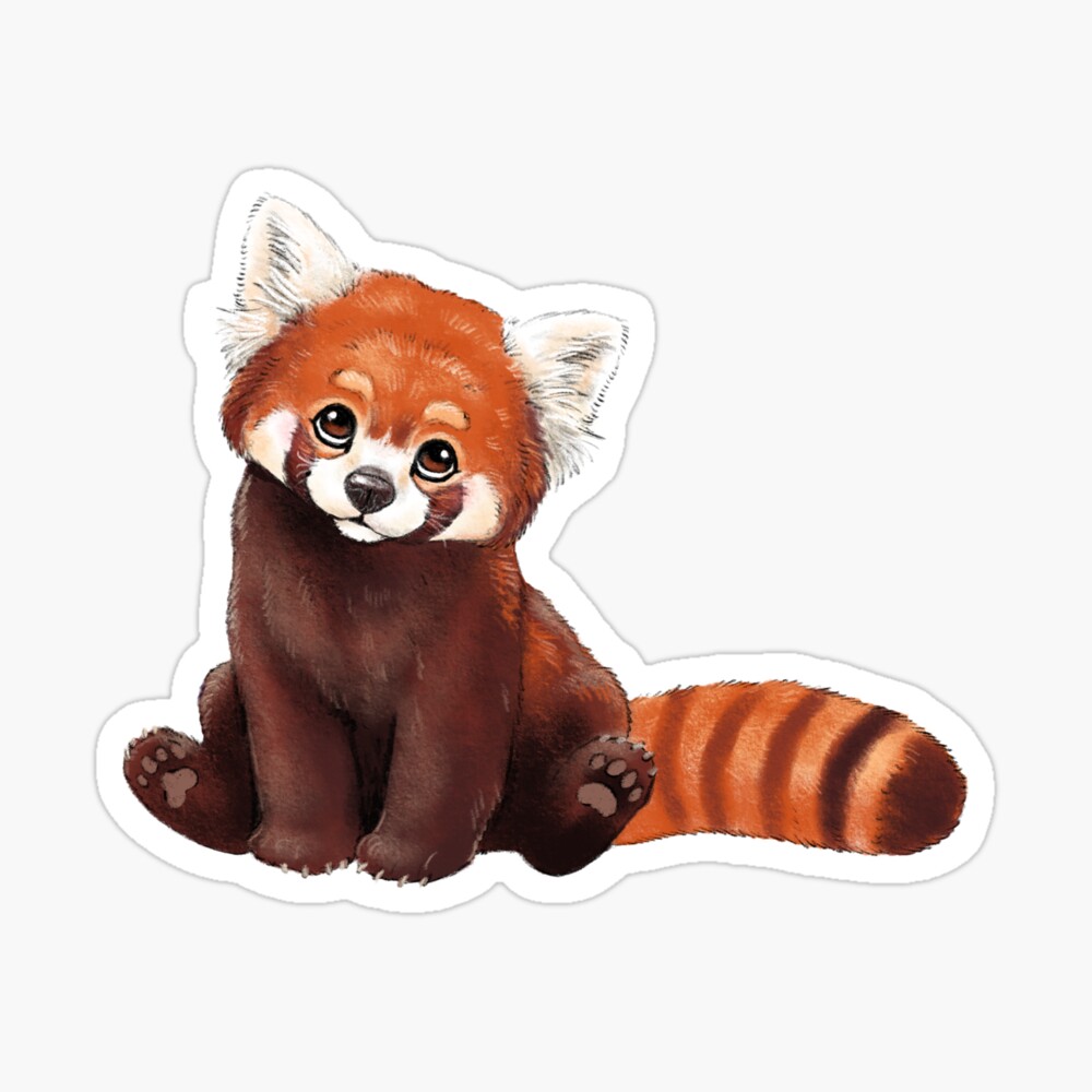 Red Panda" for Sale by elisemartinson Redbubble